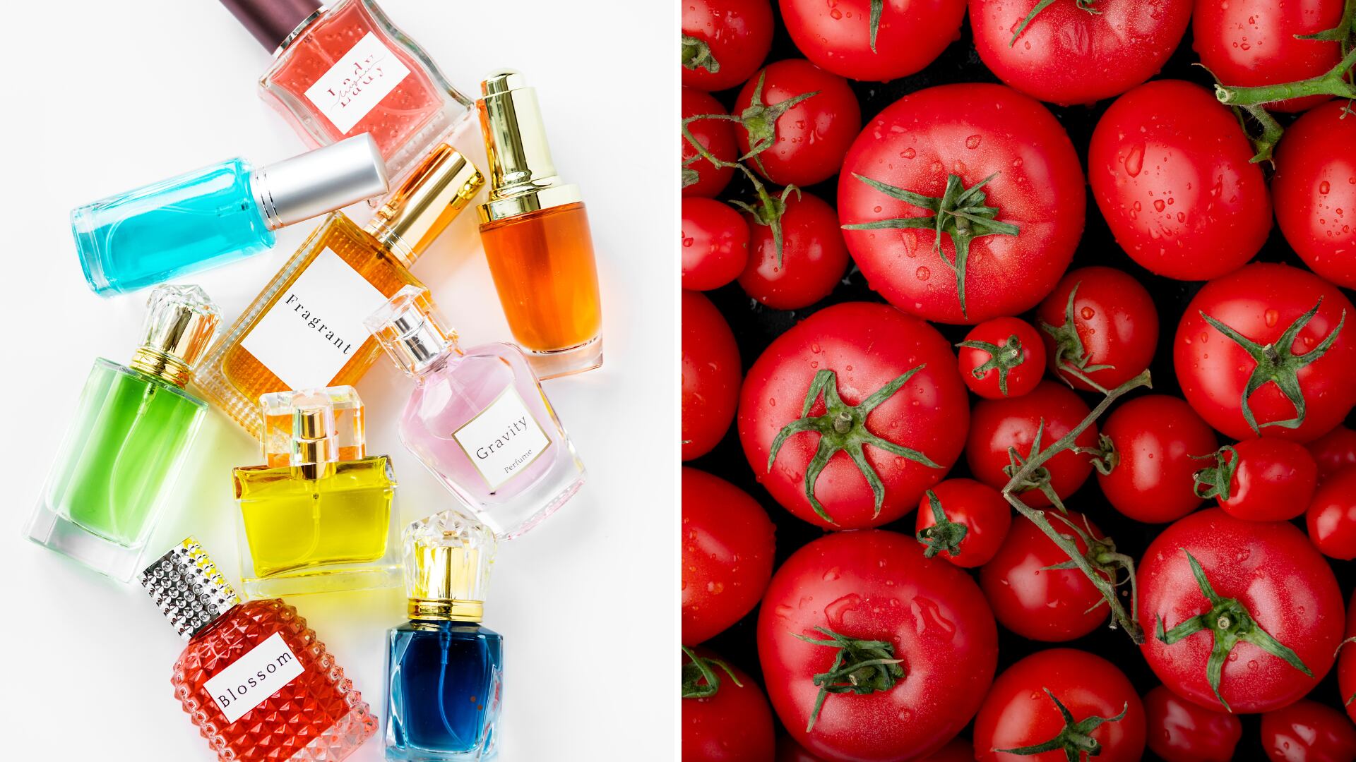 ¿Perfume de tomate? La tendencia que llegó para causar sensación este verano