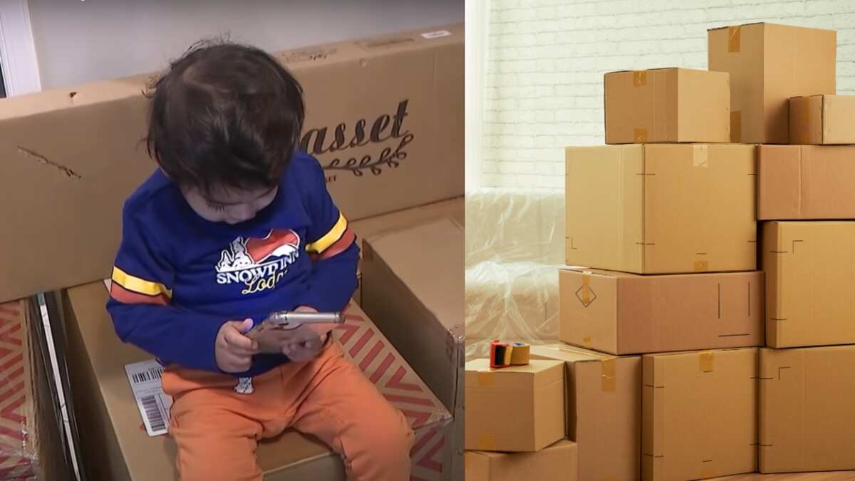 Hijo de 2 años pide 2 mil dólares en muebles