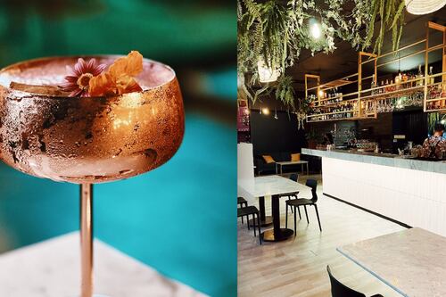 Bar del Río: un oasis para disfrutar en Santiago