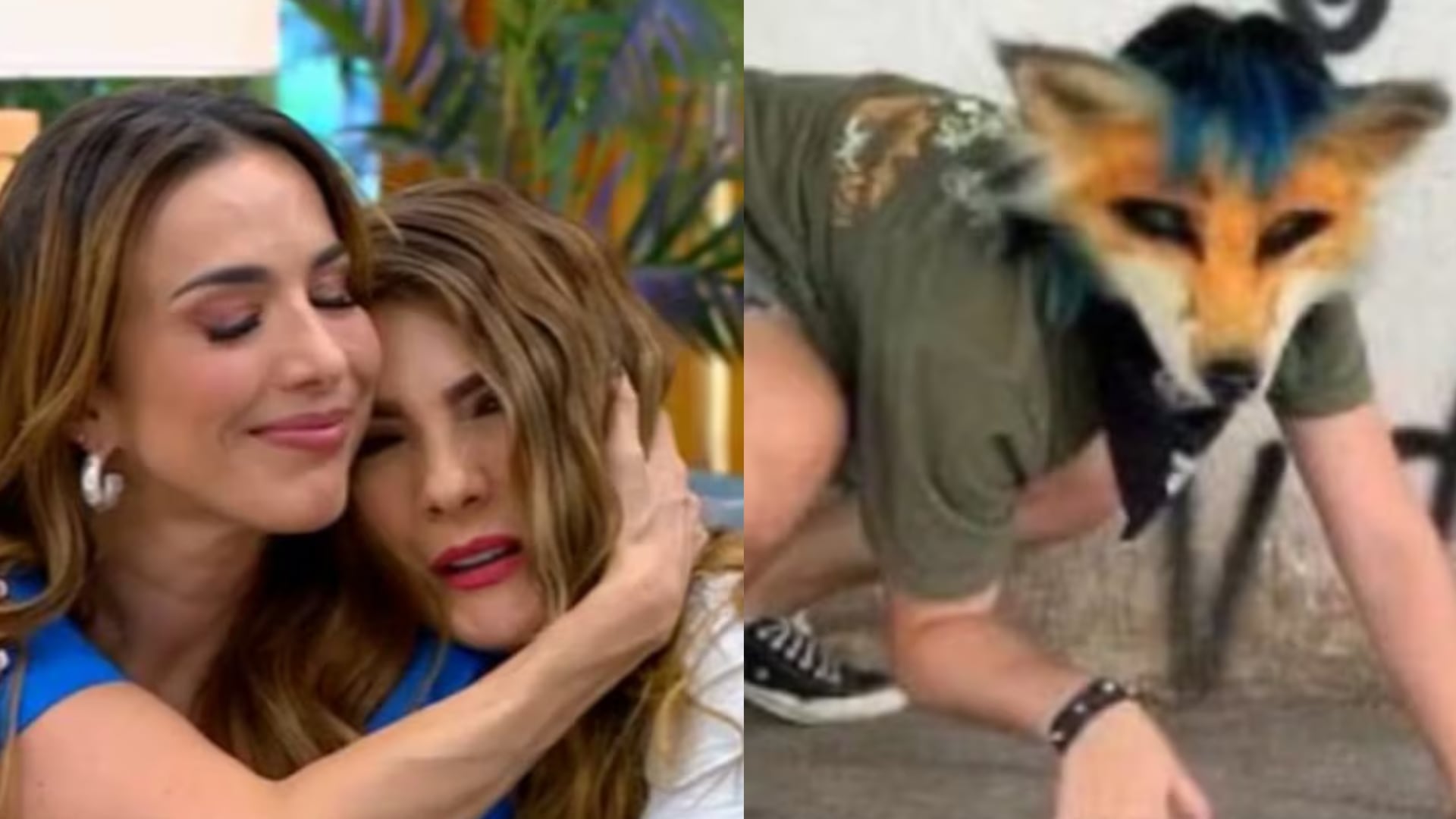 Presentadora de RCN reveló que sus hijos son Therians; pidió ayuda