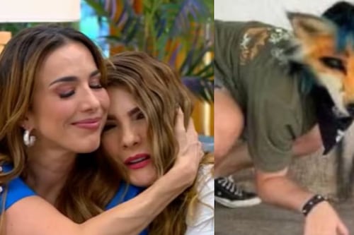 Querida presentadora de RCN reveló que sus hijos son Therians; “para mí como mamá no es fácil”