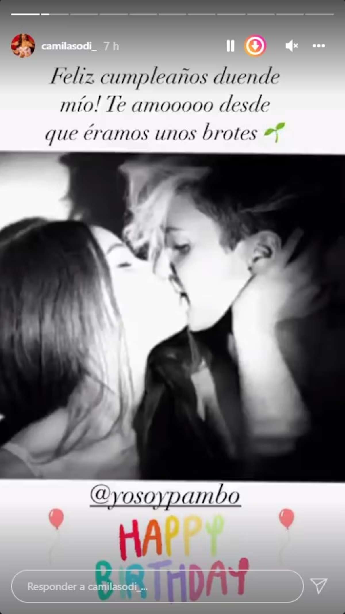 Instagram: @camilasodi_