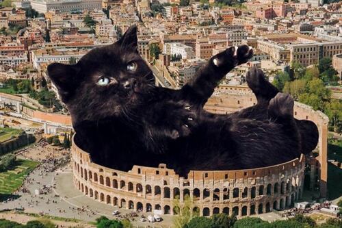 Gatos gigantes ‘gobiernan’ el mundo