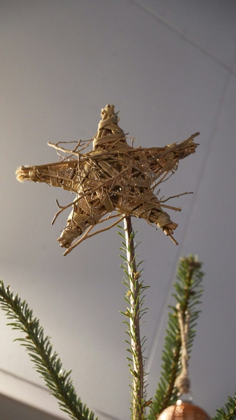 Estrella de Navidad en tendencia