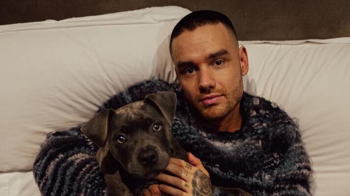 Liam Payne falleció tras caer del tercer piso de un hotel en la ciudad de Buenos Aires, Argentina.