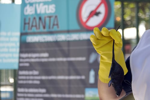 ¿El nuevo COVID? Por qué el Virus Hanta Andes está aterrorizando a Latinoamérica este 2026