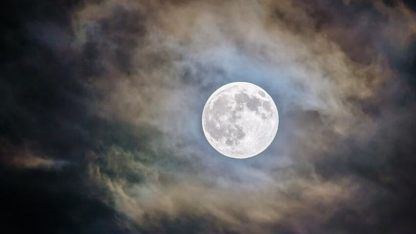 Los tests de personalidad son virales en redes