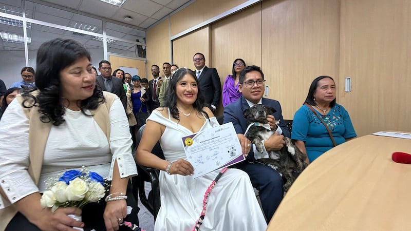 Boda pet-friendly