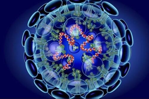 OMS declara alerta mundial por coronavirus