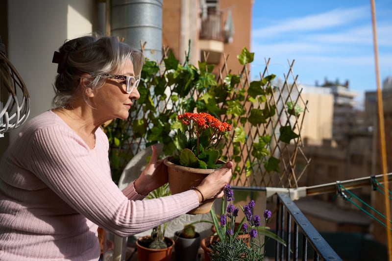 Cohousing femenino: la alternativa para vivir acompañadas