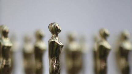 Conozca a todos los ganadores de los Premios India Catalina 2025