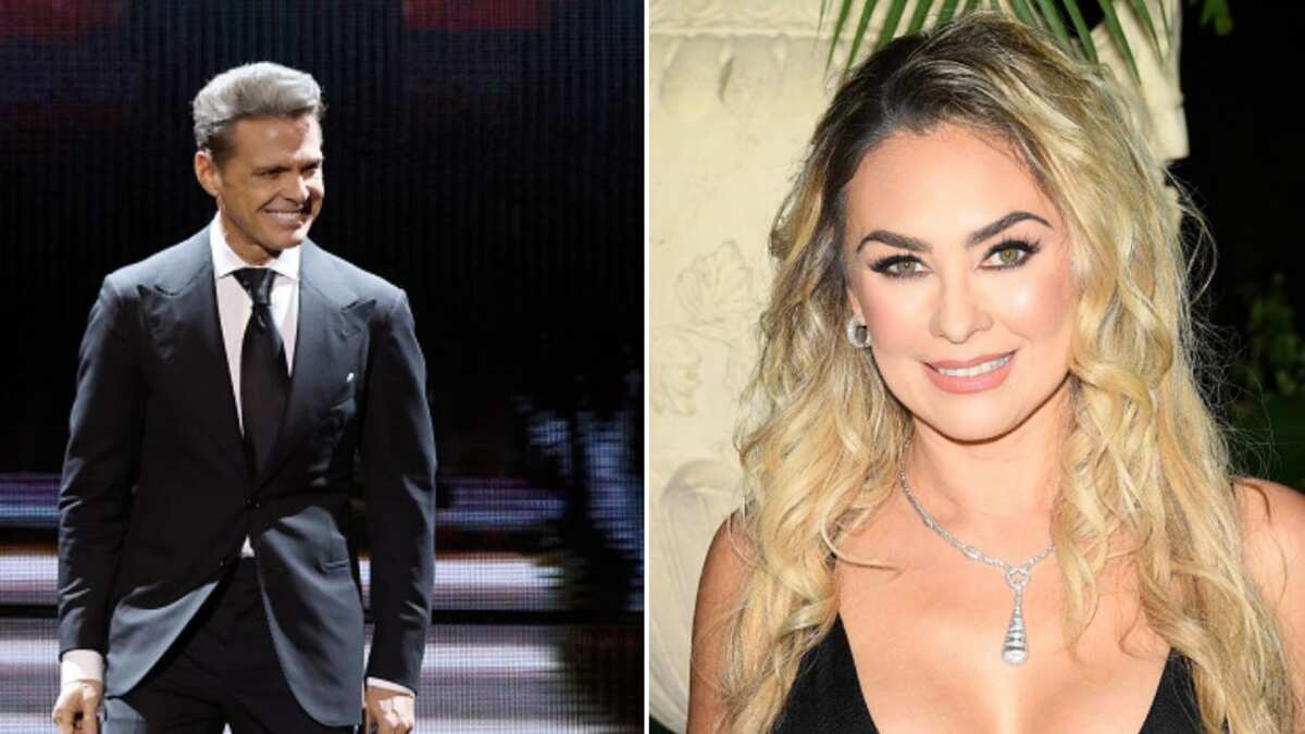 ¿Perderá la pensión de sus hijos?: Luis Miguel pagó pero Aracely Arámbula podría tener problemas por no ir ante el juez