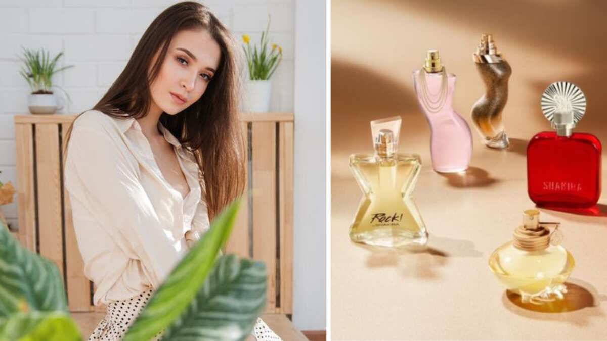 Perfumes económicos