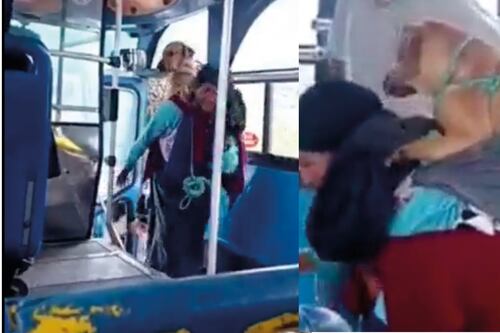 ¡Hermoso! Perrito viaja en bus de transporte público cargado por su dueña