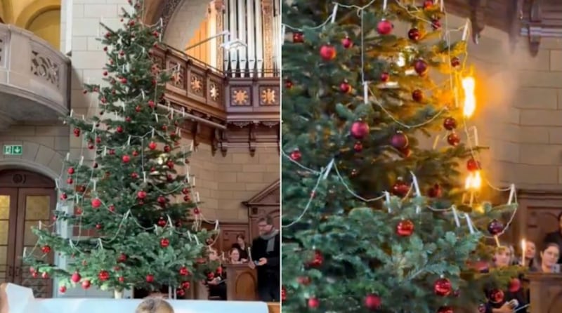 Cómo darle vida a tu árbol de Navidad con esta tradición centenaria, árbol de navidad con velas encendidas