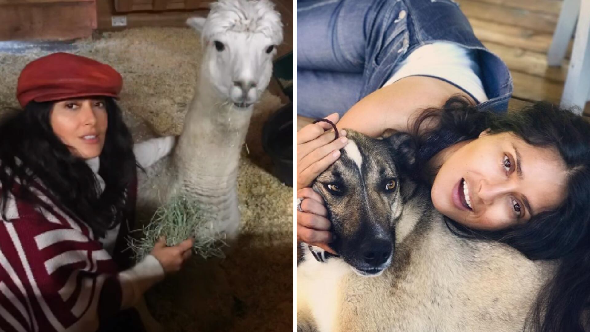 Salma Hayek tiene unos 30 animales rescatados en su casa, en Londres.