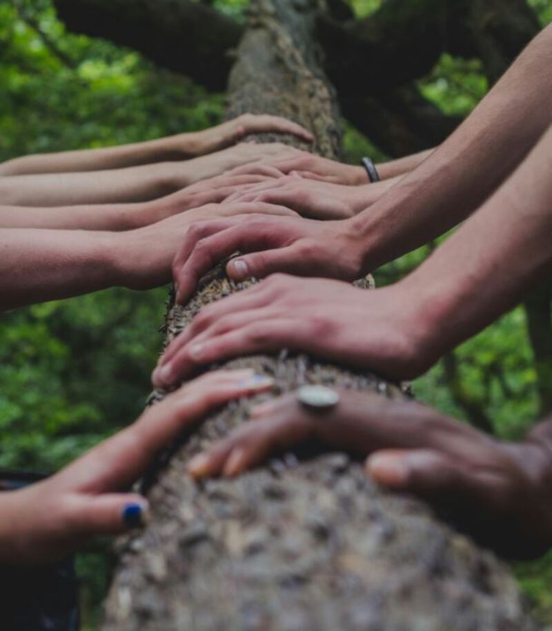 De acuerdo al Hanasaki, otra clave para vivir mejor y felices es tener contacto constante con la naturaleza