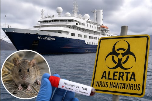¿Qué es el hantavirus y qué ha pasado en el crucero? Esto dice la OMS sobre el brote