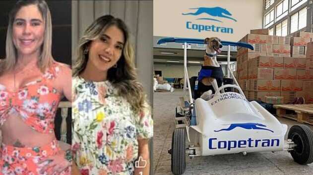 Foto empresa de transporte responde a polémico audio de Betsy Liliana, expareja de Diomedes Díaz, sobre choque entre su hija Lily Díaz y Dayana Jaimes.