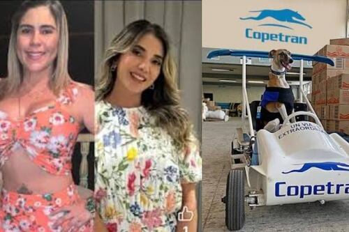 Empresa de transporte responde a polémico audio de Betsy Liliana, expareja de Diomedes Díaz, sobre choque entre su hija Lily Díaz y Dayana Jaimes