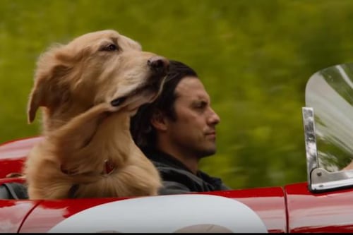 La conmovedora película que es furor y te emocionará hasta las lágrimas