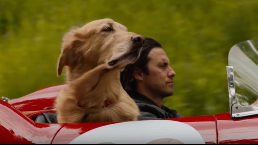 20th Century Fox Netflix