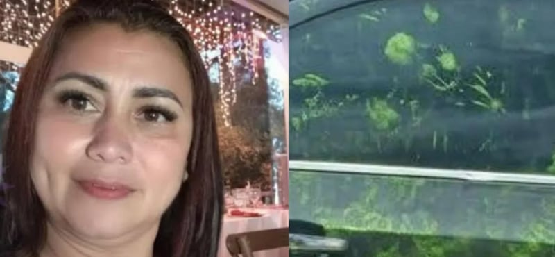 ¿Qué significan las manchas verdes en el carro donde llevaron a Yulixa Toloza?