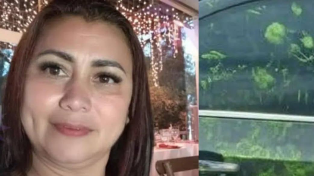 ¿Qué significan las manchas verdes en el carro donde llevaron a Yulixa Toloza?