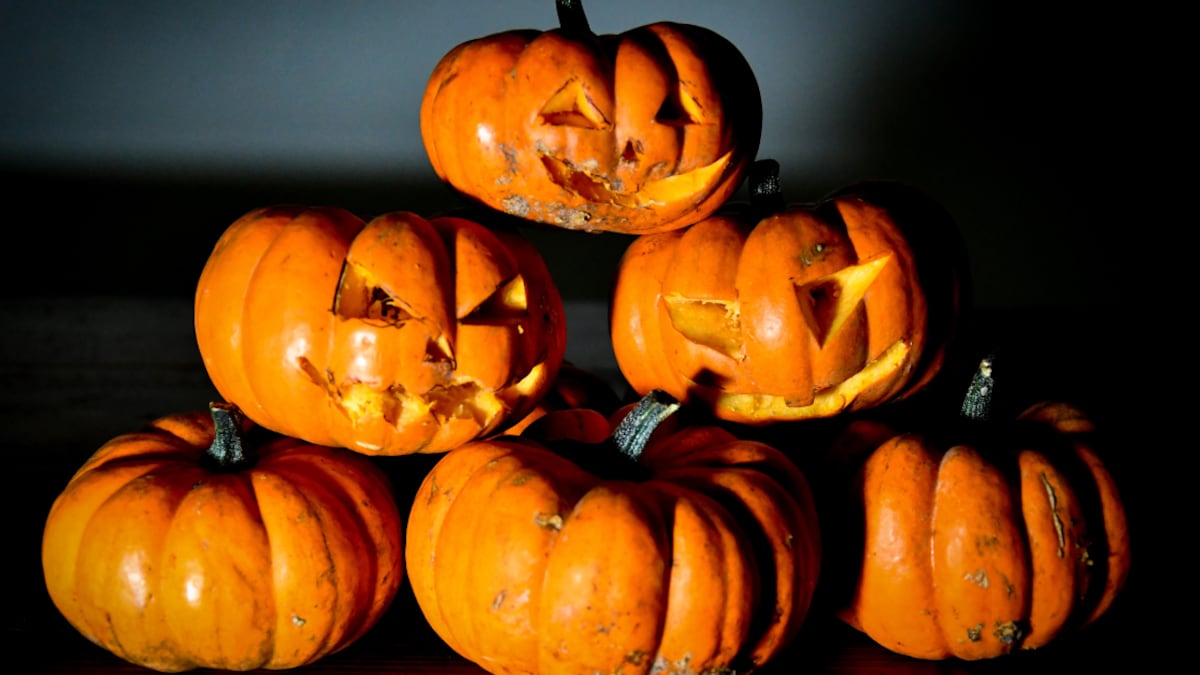 Las calabazas forman parte de la decoración obligada de Halloween, pero ¿Conoces el origen de esta tradición?
