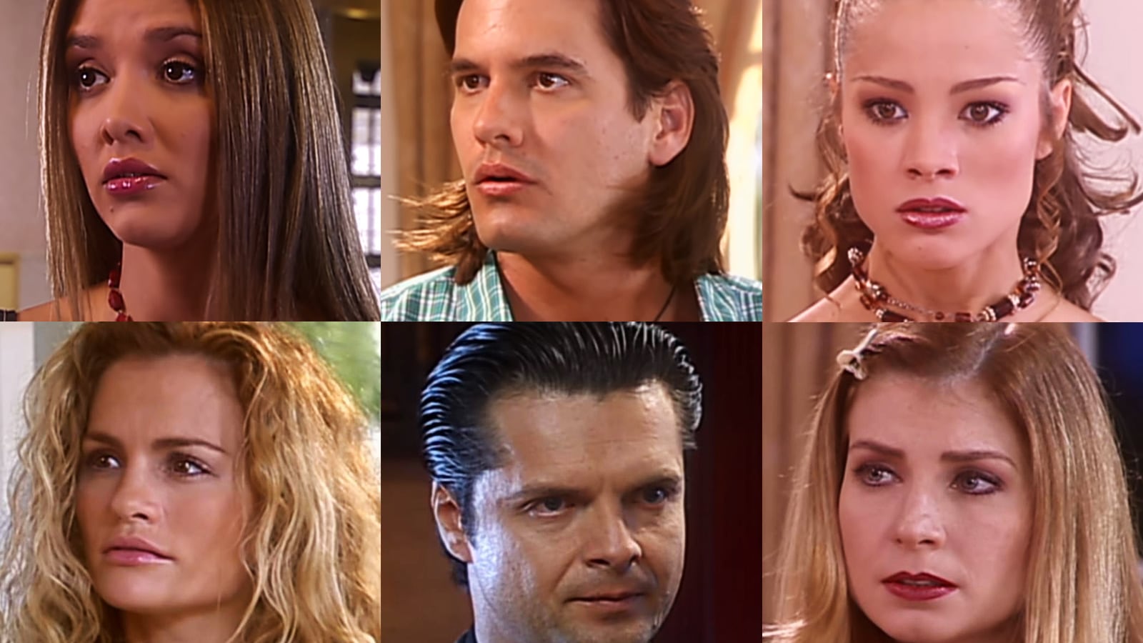 Actores de Gata salvaje