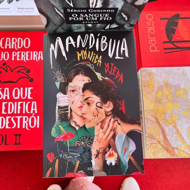 Novela Mandíbula