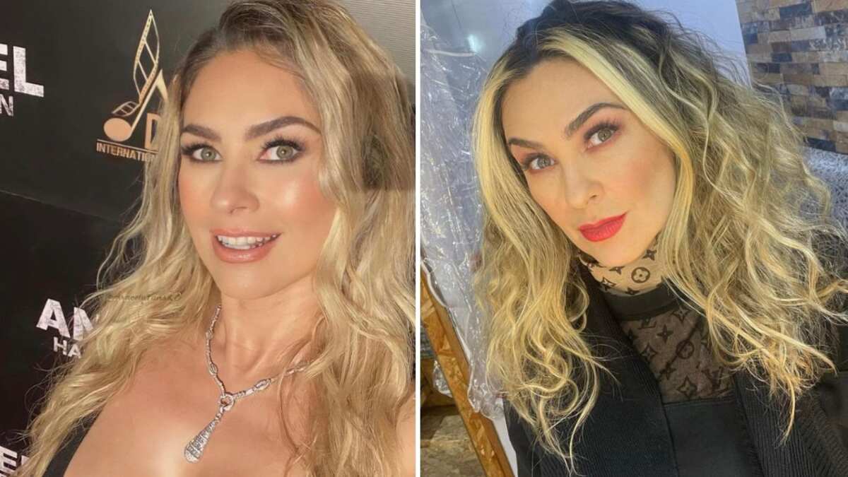 Aracely Arámbula nuevo look