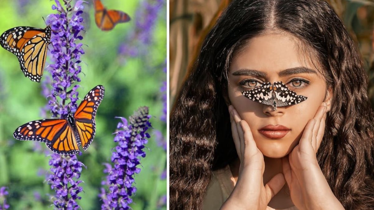 Mariposas significado