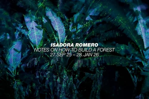 ¡Orgullo nacional! La ecuatoriana Isadora Romero conquista Londres con su fotografía ambiental en los “Sony World Photography Awards”