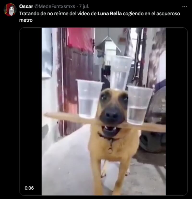 Memes de Luna Bella en el Metro