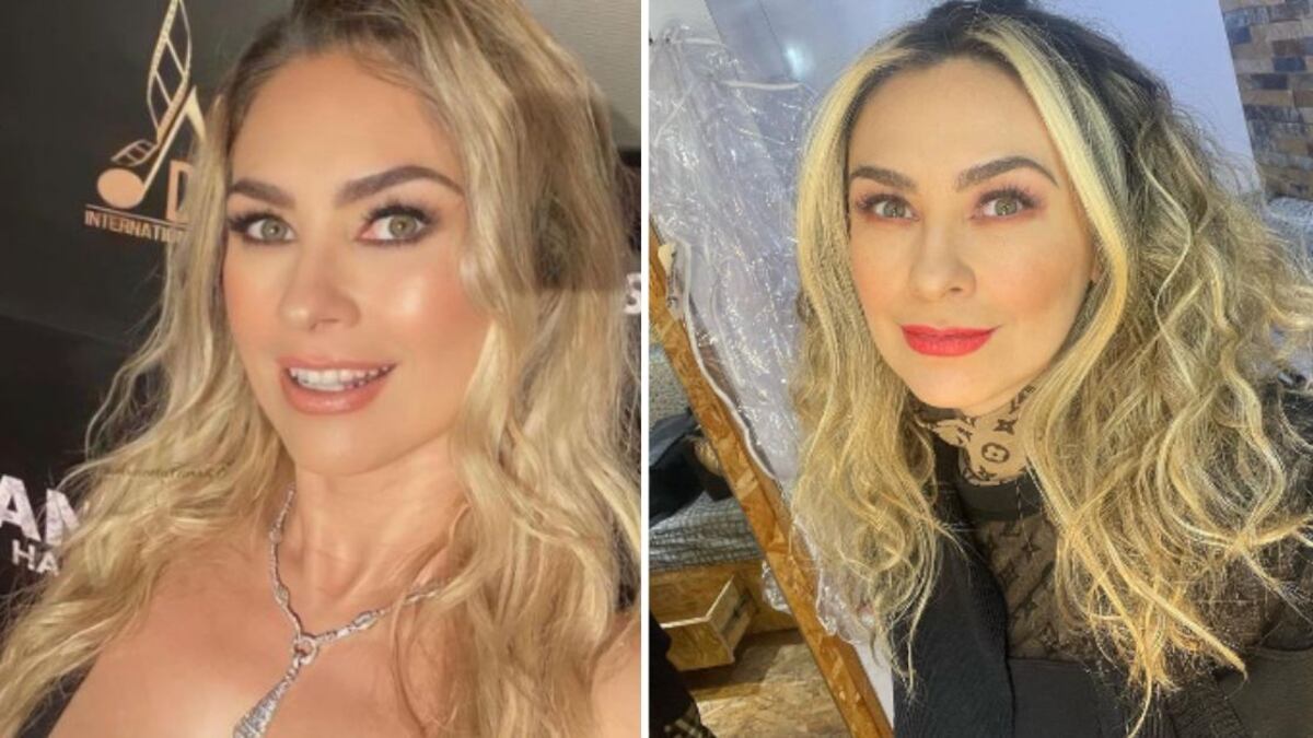 Aracely Arámbula novio