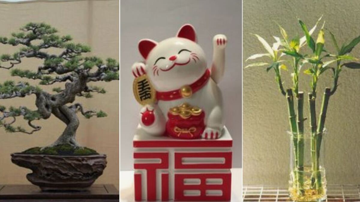 Amuletos para la prosperidad del hogar según el Feng Shui: ¿Cómo consagrarlos?