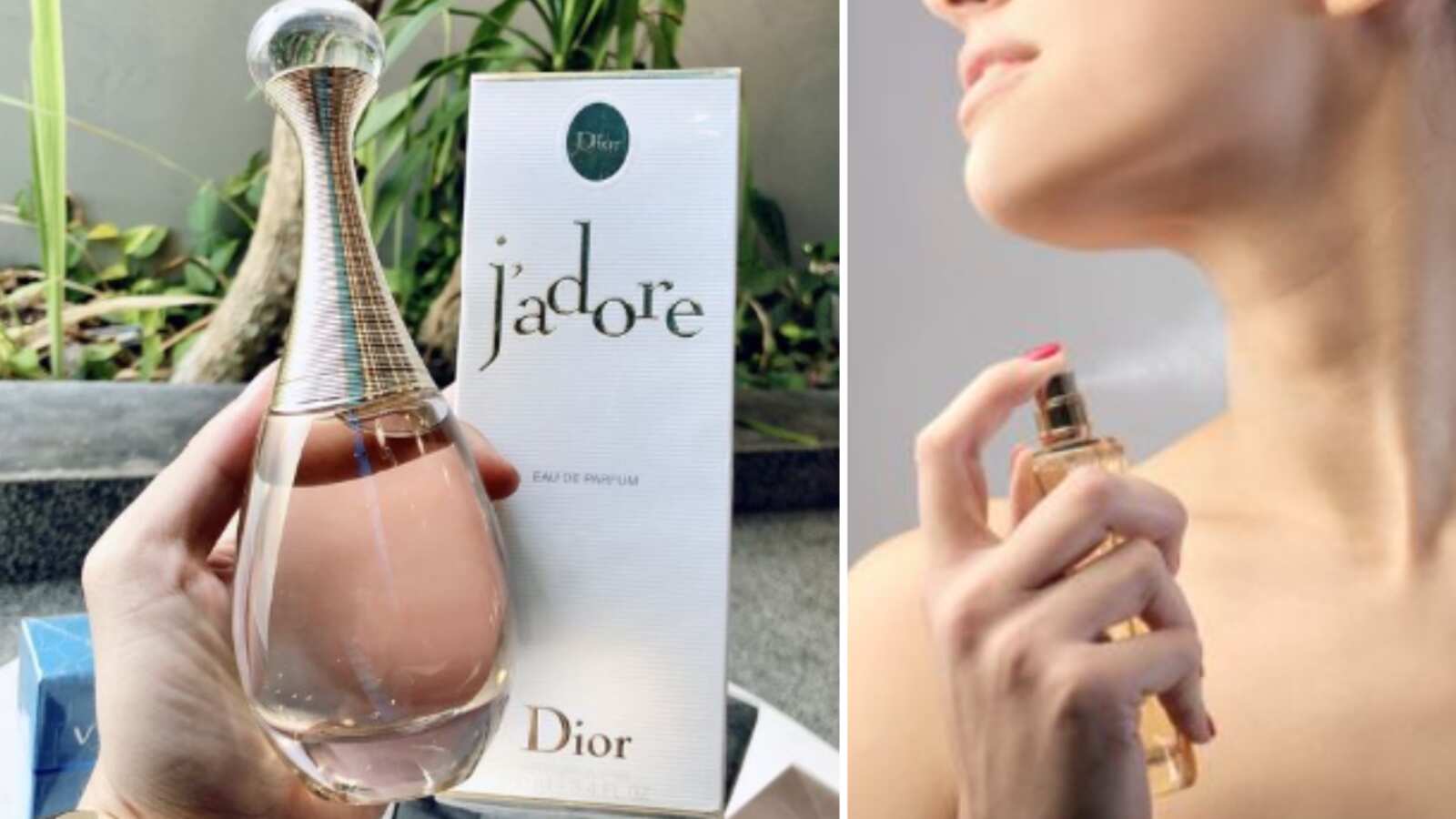 Perfumes para ir a la universidad