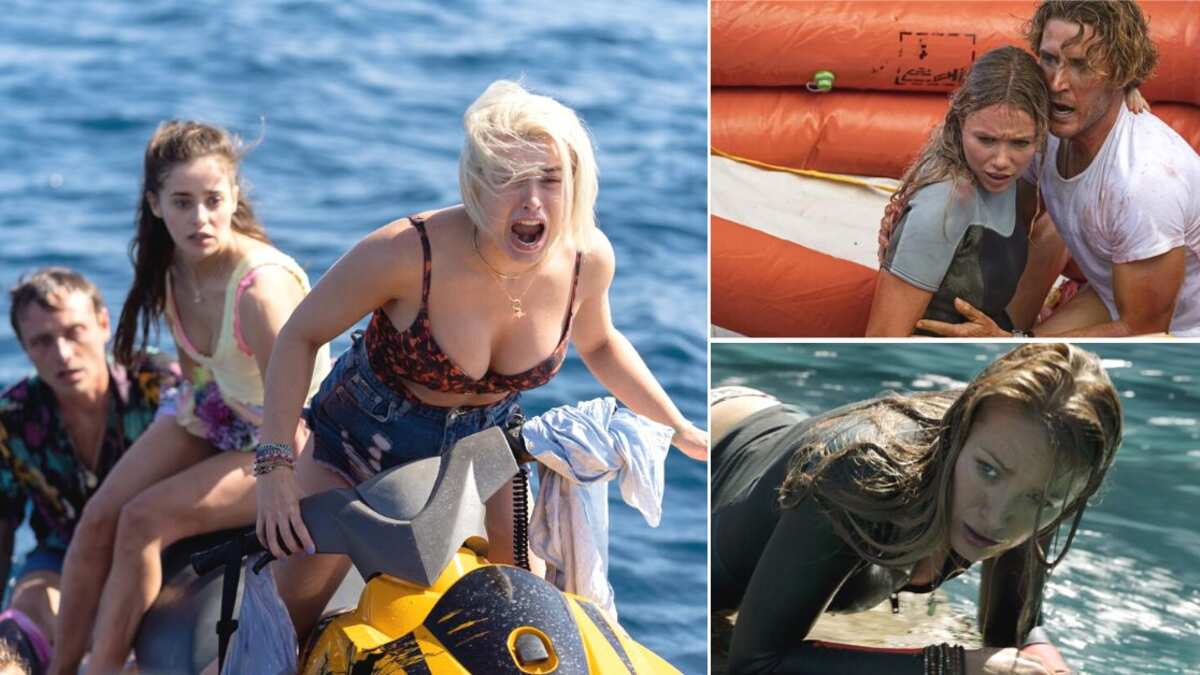 Netflix tiene varias producciones parecidas a 'Mar de sangre' en su catálogo