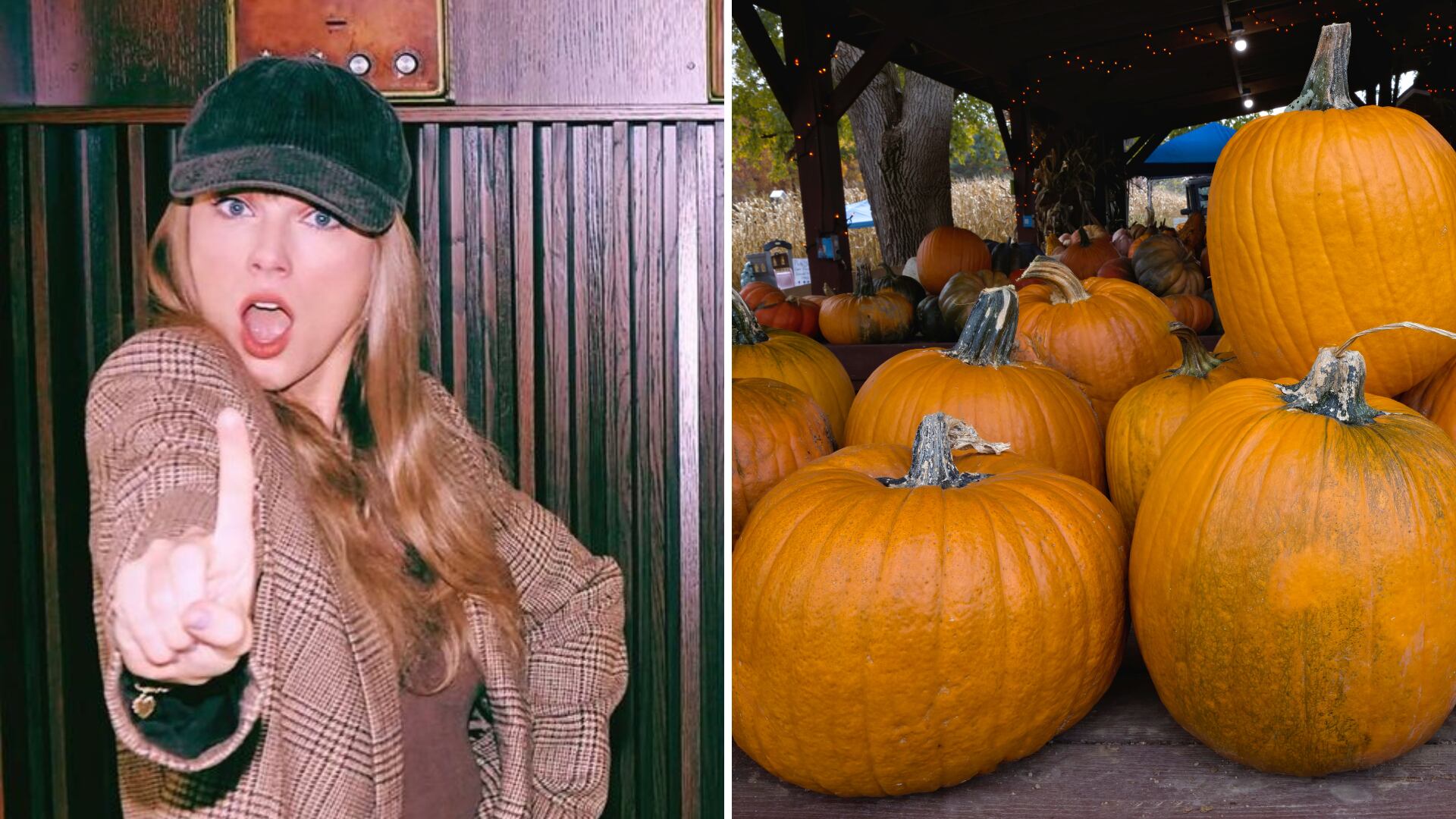 La cara de Taylor Swift fue pintada por Jeanette Jaras en un zapallo de 180 kilos.