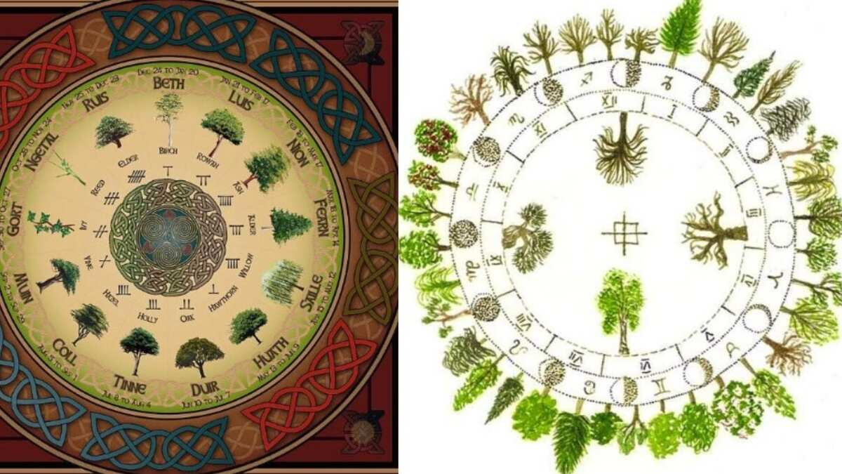 Los celtas tenían una fuerte conexión con la naturaleza y el mundo que los rodeaba.