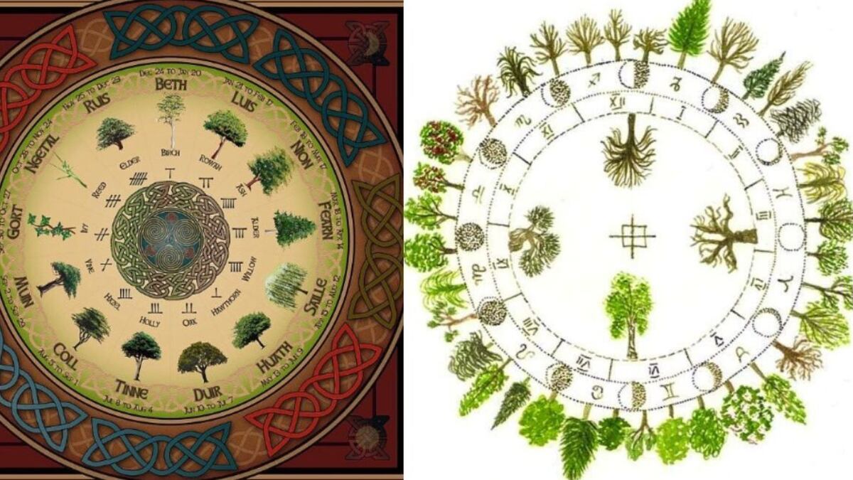 Los celtas tenían una fuerte conexión con la naturaleza y el mundo que los rodeaba.