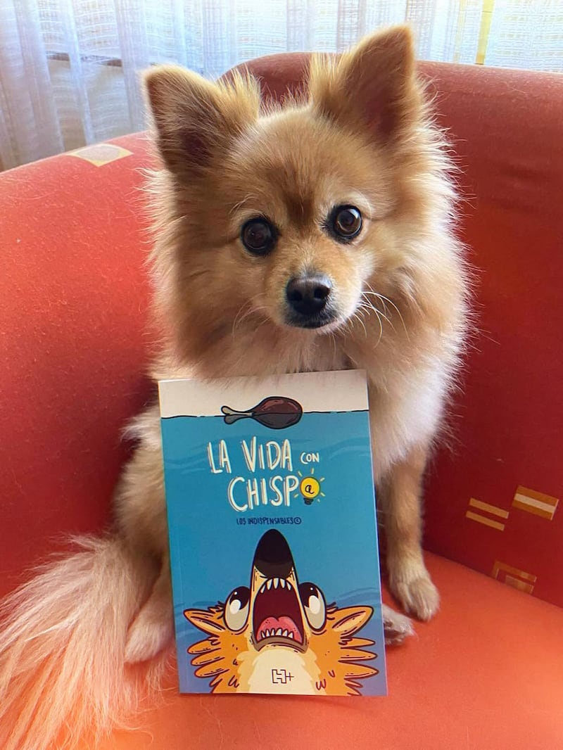 Cuando una chispa lo cambia todo: el poder de sanar con cuatro patitas