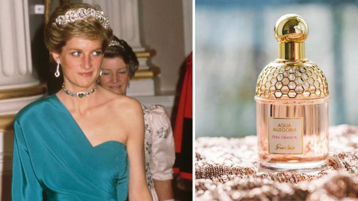 Perfumes Lady Di