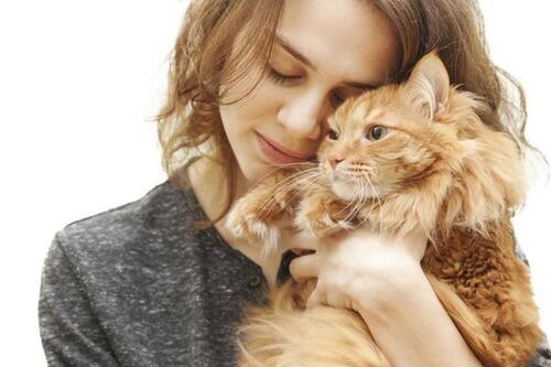 Estudio asegura que personas con gatos son más inteligentes que las que tienen perros