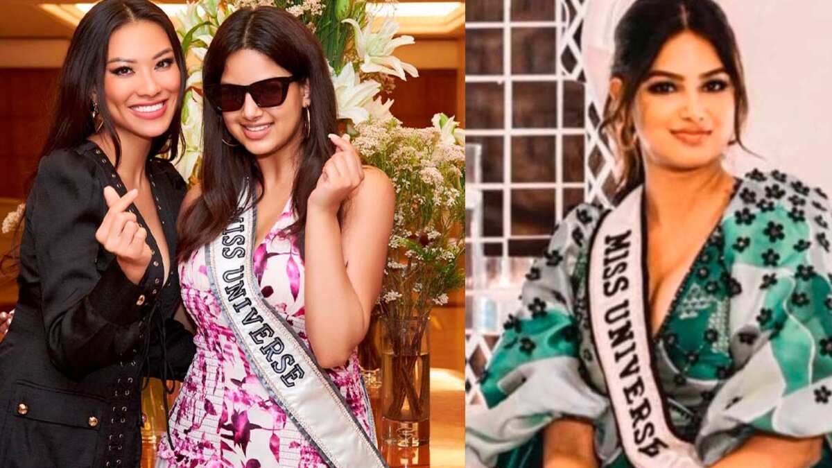 Miss Universo