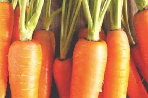El caso de la joven que luce bronceada todo el año por comer zanahorias