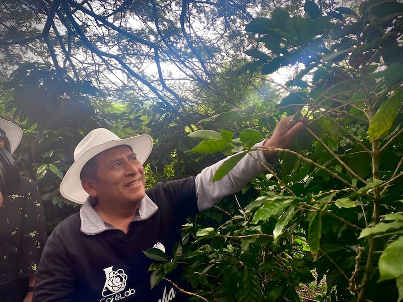 Ingeniero de la hacienda, Ramiro Catzim.