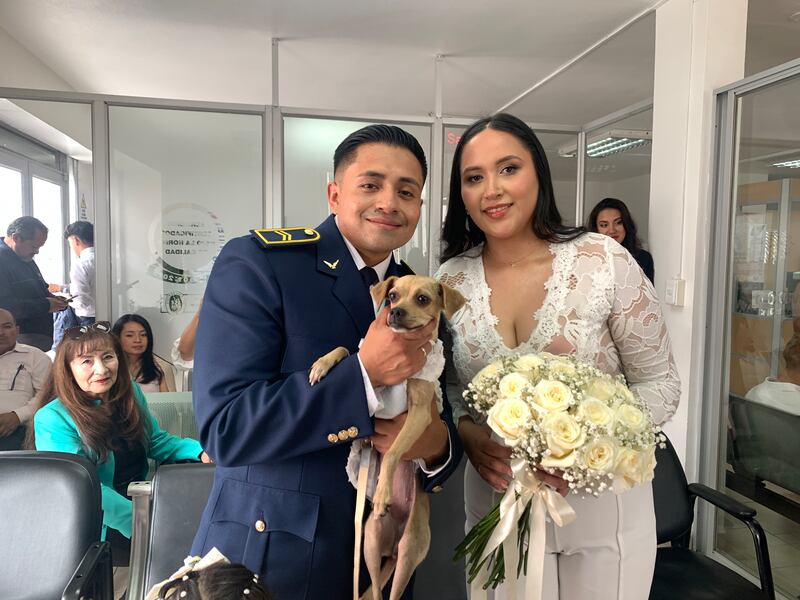 Boda pet-friendly