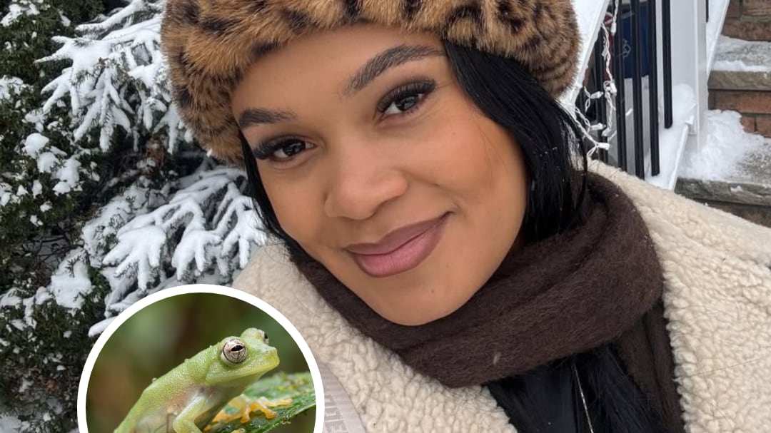 Nombran rana en honor a Neisi Dajomes